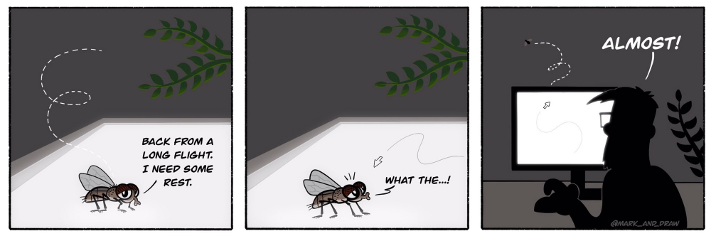 Cartoon: catch a fly 1