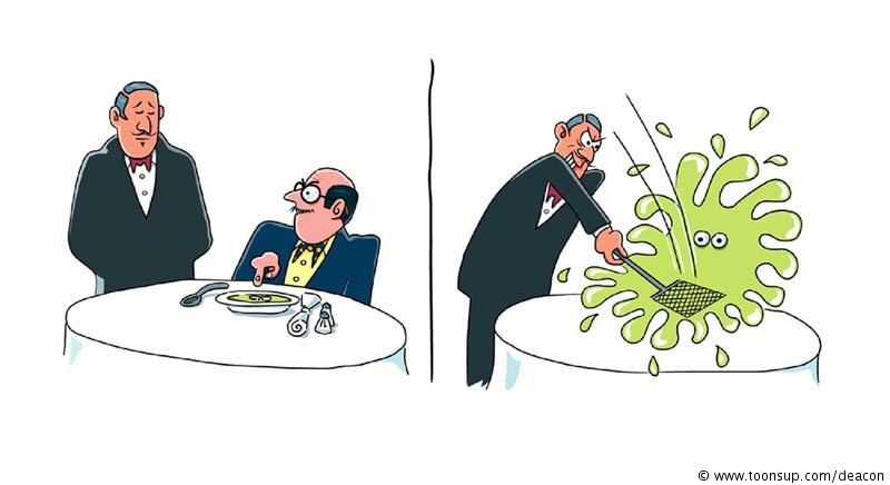 Cartoon: a fly in the soup 1