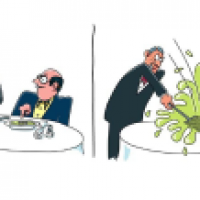a fly in the soup