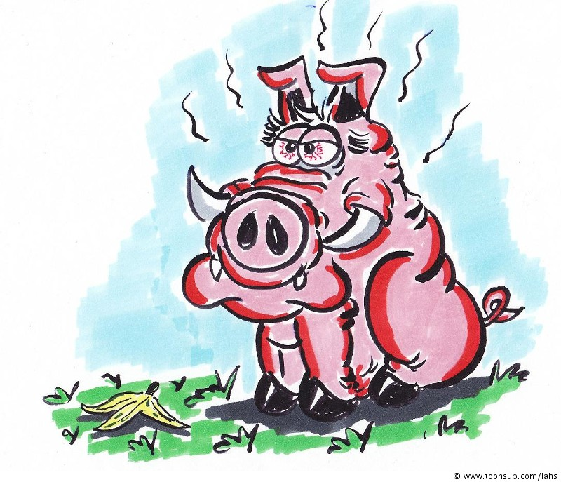 Illustration: KEINE Schweinegrippe! 1