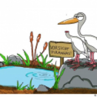 Dumme Reiher