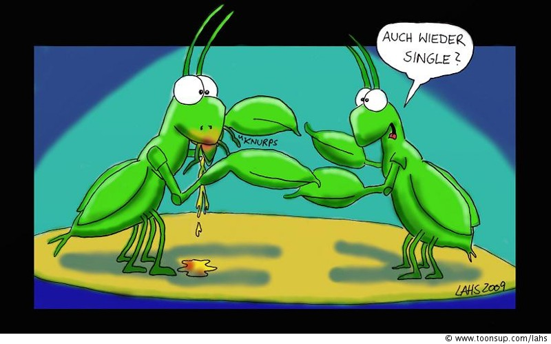 Cartoon: Single 1