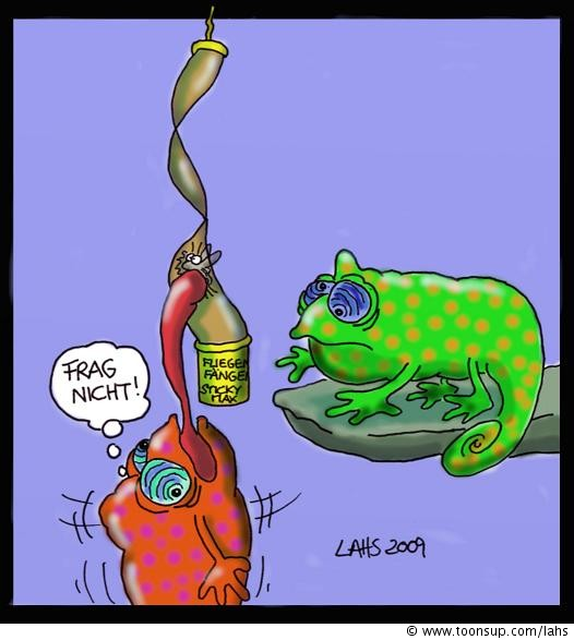 Cartoon: Fliegenfänger 1