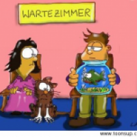 Piranha beim Tierarzt