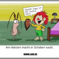 Schale weg