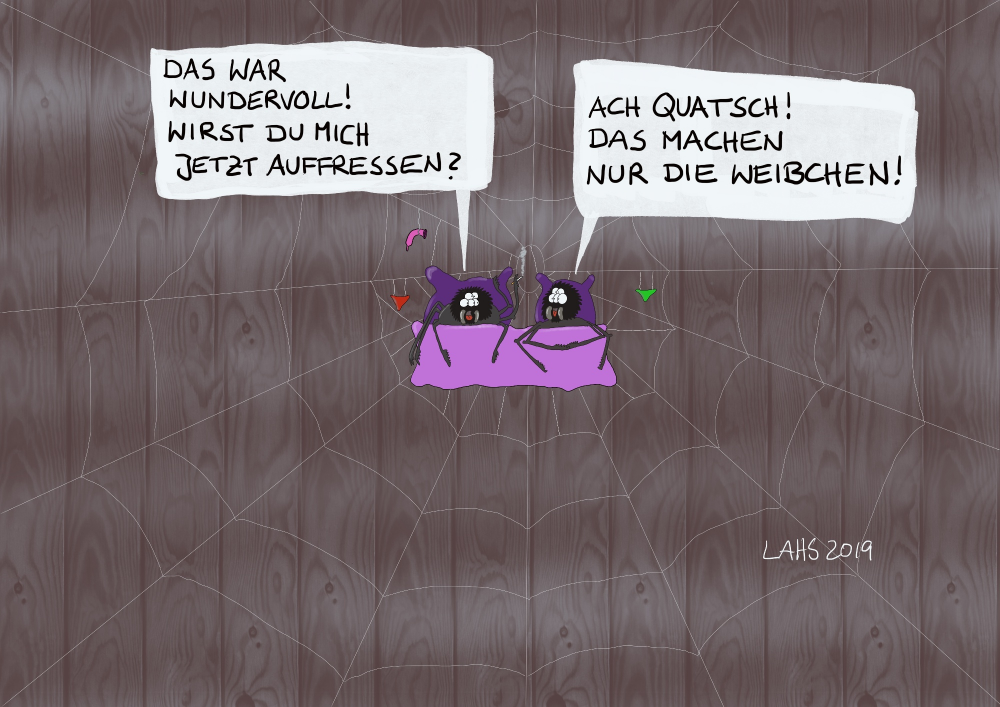 Cartoon: Spinnenliebe 1