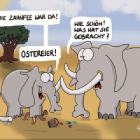 Zahnfee