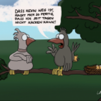 Kevin ist weg!