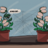 Spinnenpech