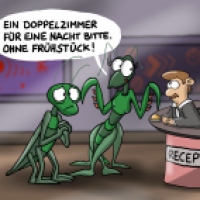 Ohne Frühstück