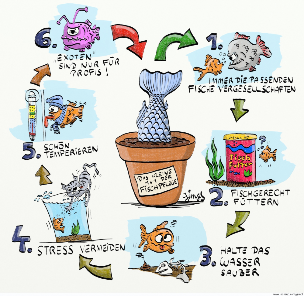 Illustration: Kleines 1x1 der Fischpflege 1