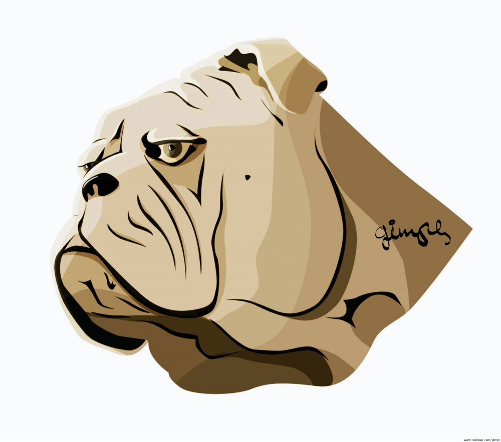 Illustration: English Bulldog 1