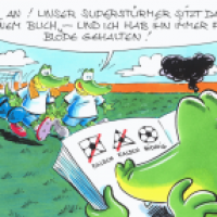 Fussballprofi