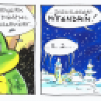 Gators Silvester