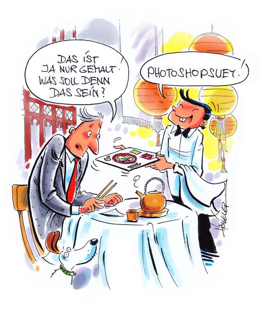 Cartoon: Photoshopsuey 1