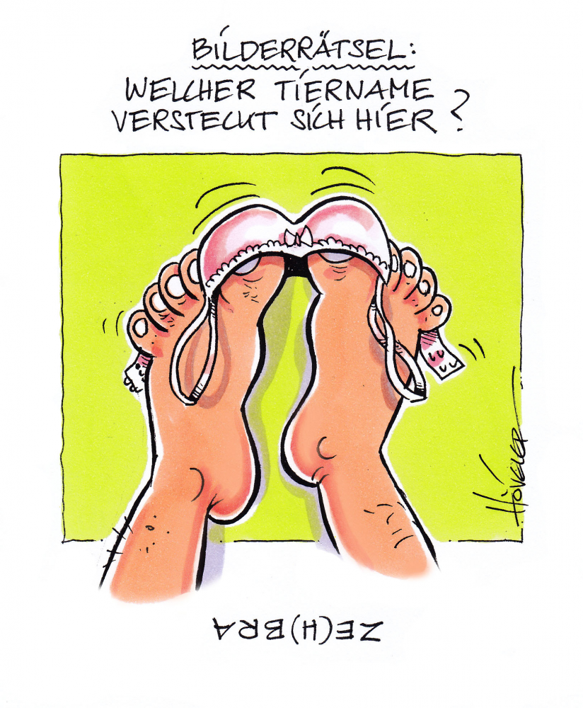 Cartoon: Bilderrätsel 1
