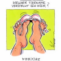 Bilderrätsel
