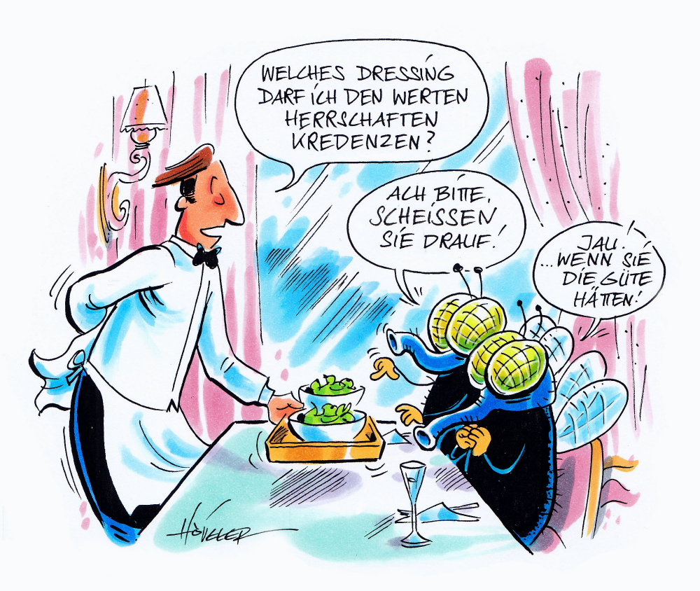 Cartoon: Fliegen Dressing 1