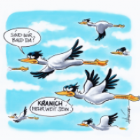 Kraniche