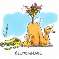 Blumenhase