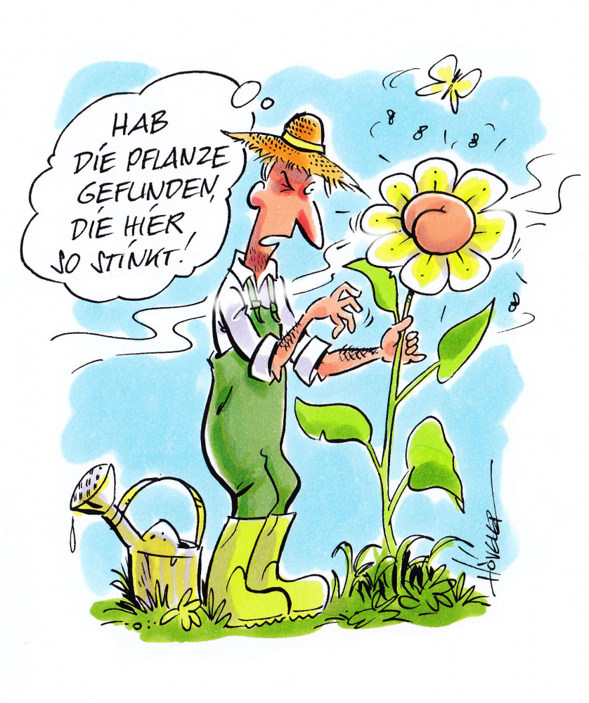 Cartoon: Stinkeblume 1