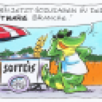GATORS softeis