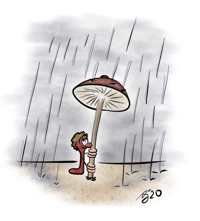 Illustration: It's raining 1