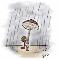 It's raining