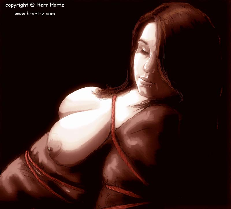 Illustration: BDSM Noire - Träumerei 1