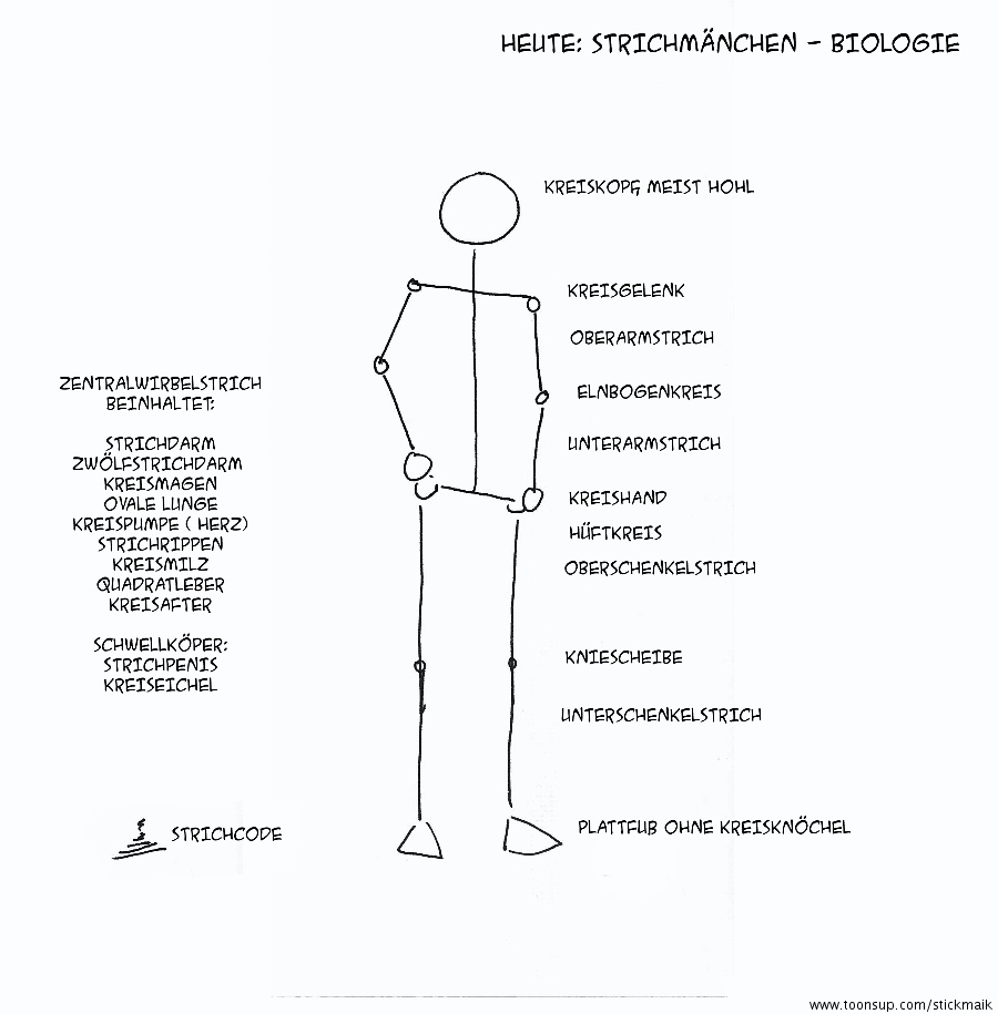 Illustration: Biologie - Strichmännchenaufbau 1