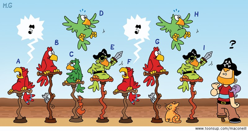 Rate- / Wimmelbild: The parrots ( game ) 1
