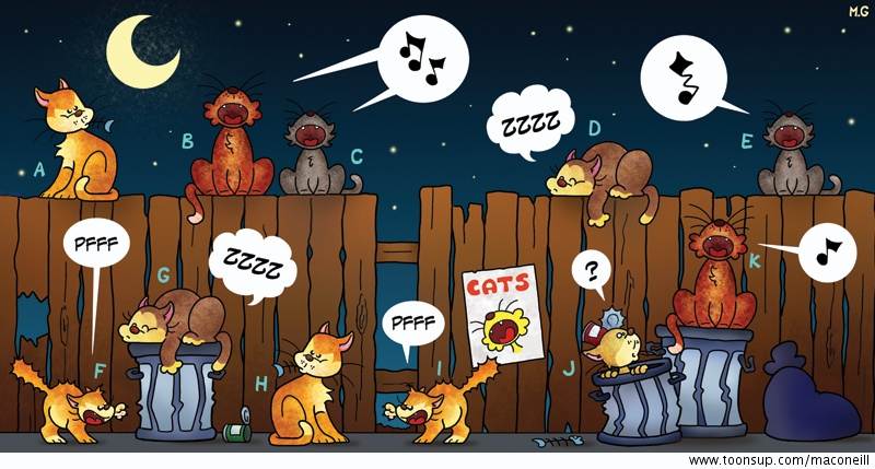 Rate- / Wimmelbild: Cats 1