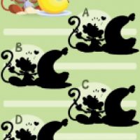 Monkey