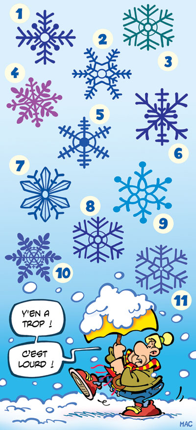 Picture Puzzle: Snowflakes 1