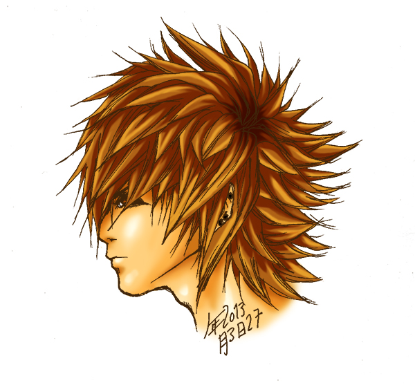 Illustration: 2012/2013 12