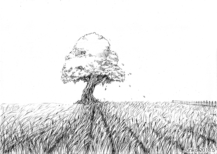 Illustration: 02 - Feld im Sommer 1
