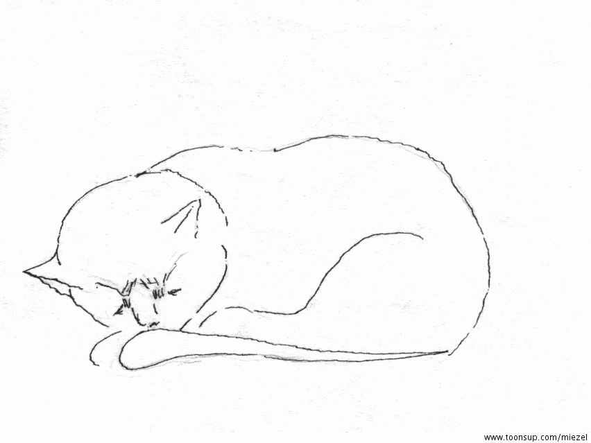 Illustration: Kamikatze 2 1