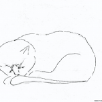 Kamikatze 2