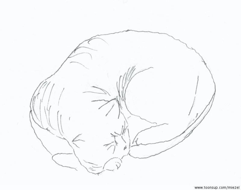 Illustration: Kamikatze 3 1