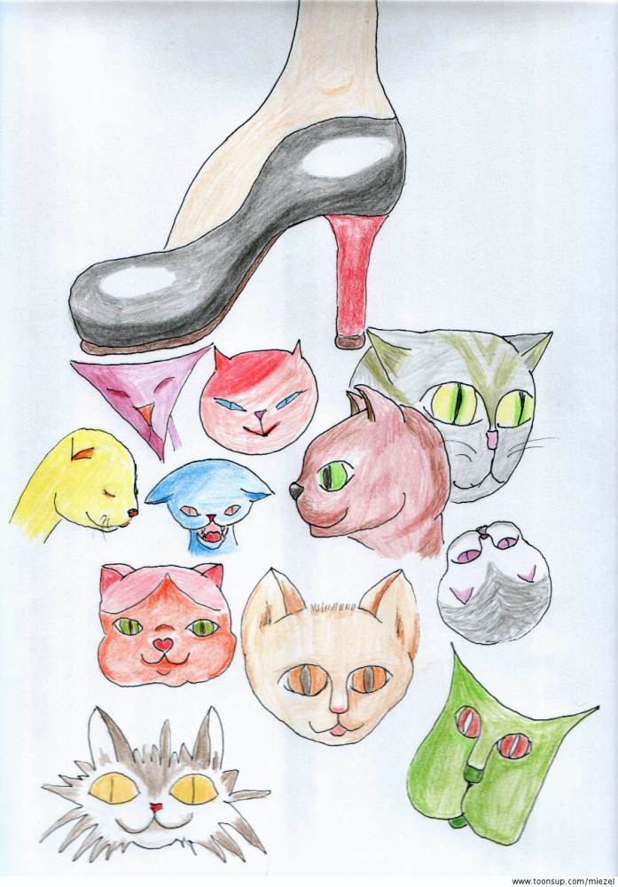 Illustration: Katzenköpfe 1