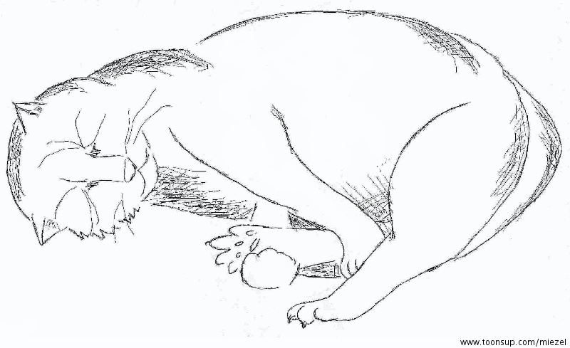 Illustration: Katze 1