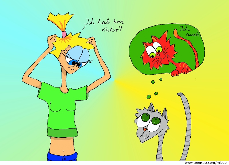 Cartoon: Kamikatze 4 1