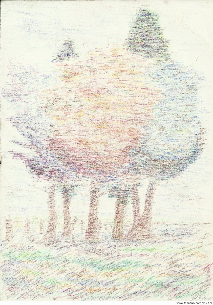Illustration: Herbstbäume 1