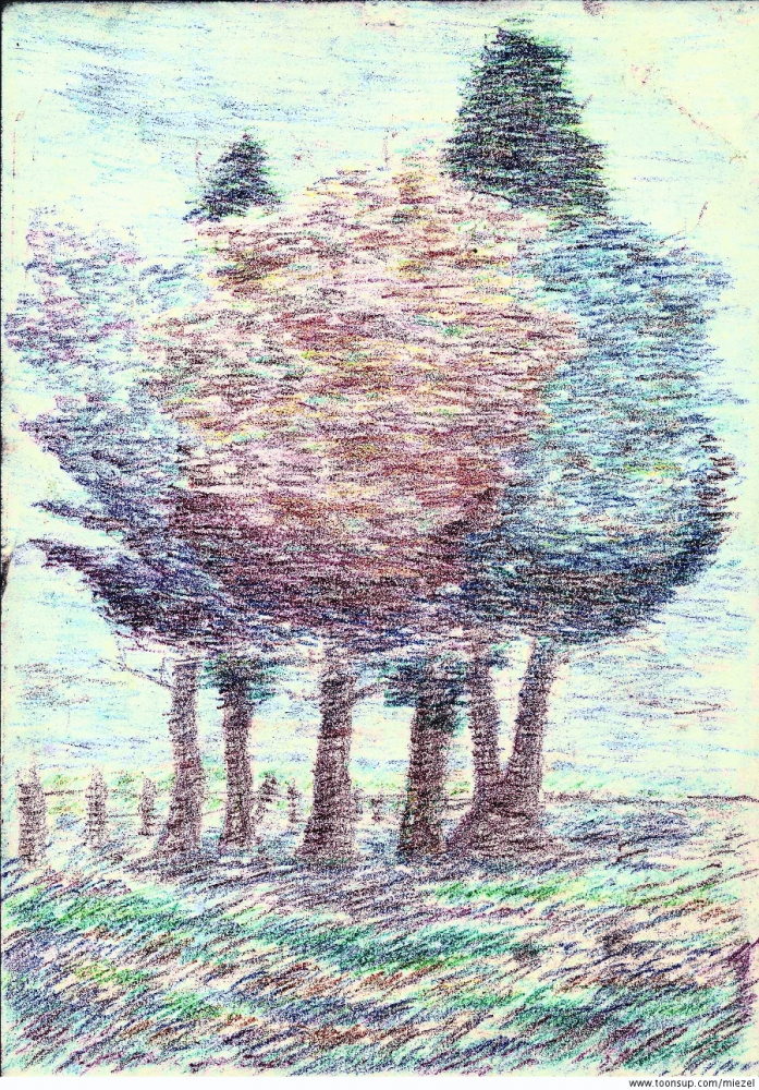 Illustration: Herbstbäume 2