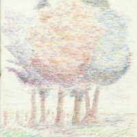 Herbstbäume