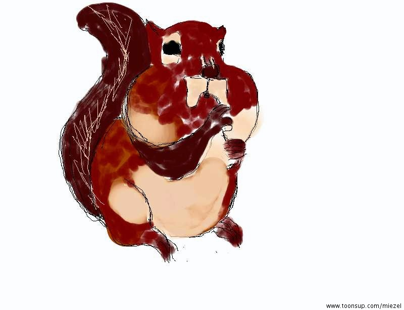 Illustration: Hörnchen 1