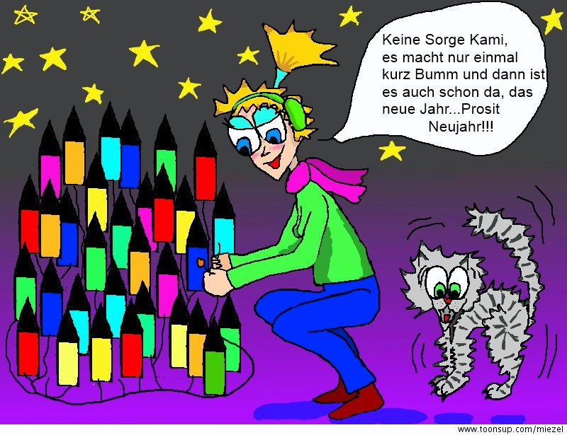 Cartoon: Silvester 1