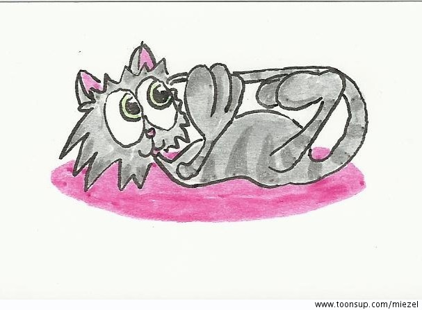 Cartoon: Kami 1