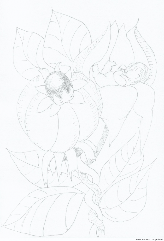 Illustration: Babyblüten 1