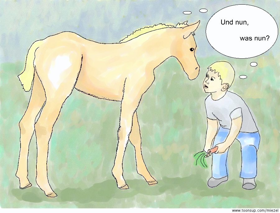 Cartoon: Und nun? 1